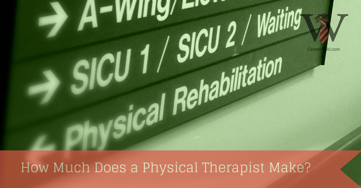 How Much Money Does Physical Therapist Make A Year / Physical Therapist