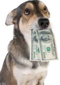 vet veterinarians vets spay neuter dramatically veterinarian begging differs wage median