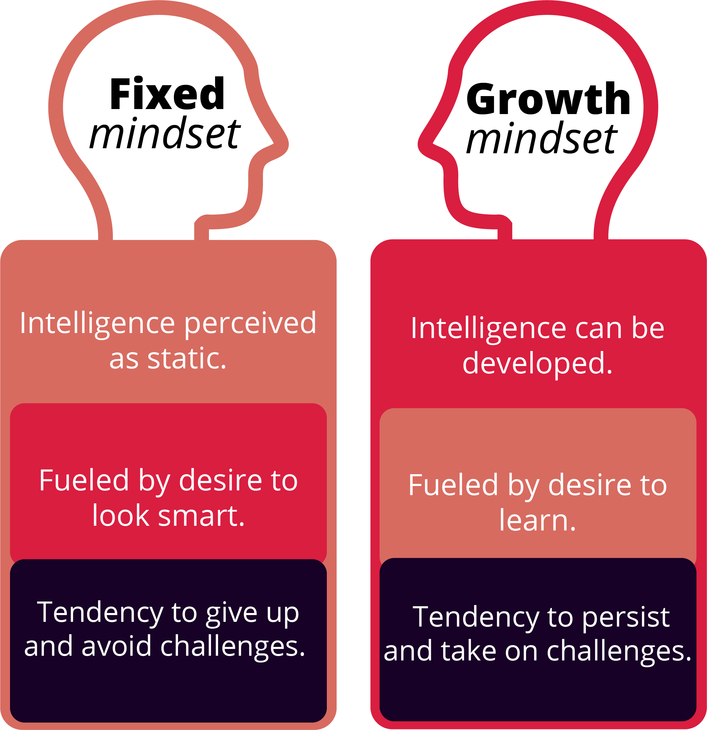 Growth Mindset